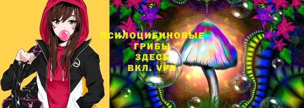 гашик Баксан