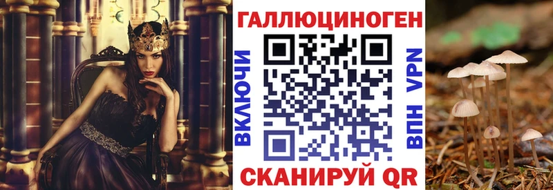 Галлюциногенные грибы GOLDEN TEACHER  Кировск 